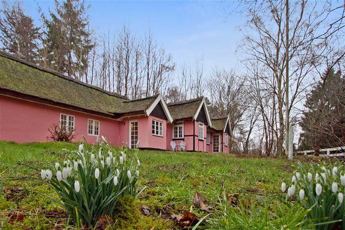 Kirsebærhuset, Udendørs